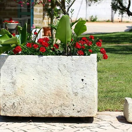 B&B Usciglio 5* Sanarica